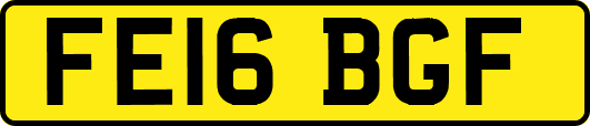 FE16BGF