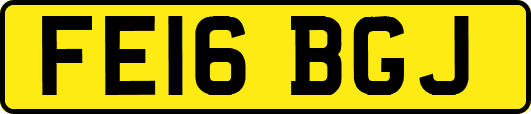 FE16BGJ