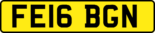 FE16BGN