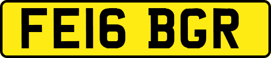 FE16BGR