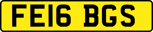 FE16BGS