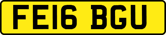 FE16BGU