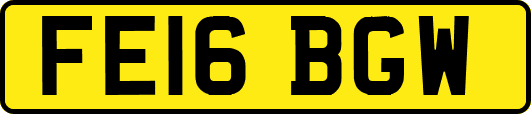 FE16BGW