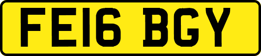 FE16BGY