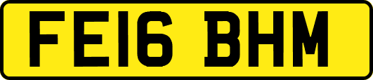 FE16BHM