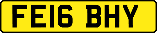 FE16BHY