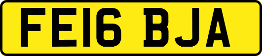FE16BJA