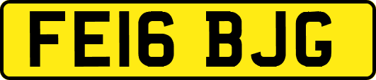 FE16BJG
