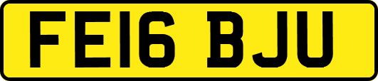 FE16BJU