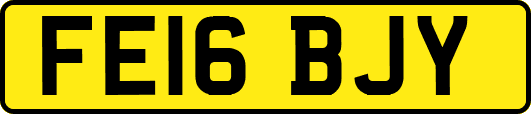 FE16BJY