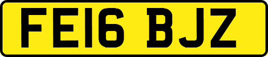 FE16BJZ