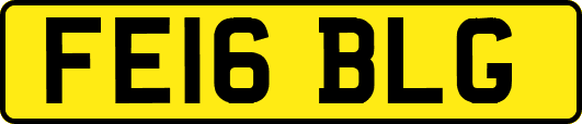 FE16BLG