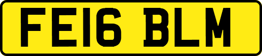 FE16BLM