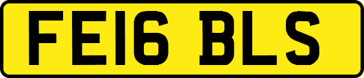 FE16BLS