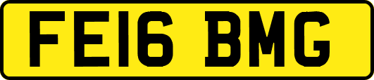 FE16BMG