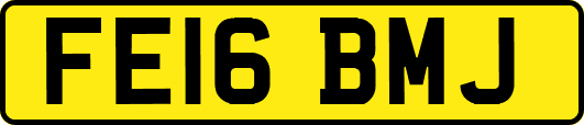 FE16BMJ