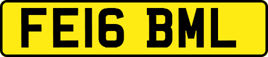 FE16BML