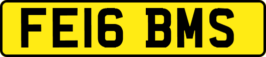 FE16BMS