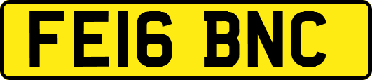 FE16BNC