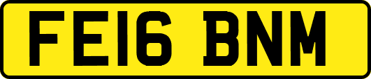 FE16BNM