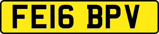FE16BPV