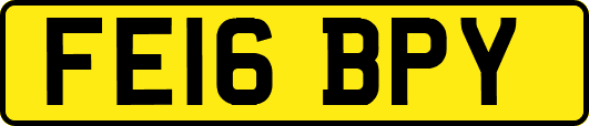 FE16BPY