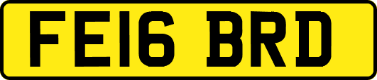 FE16BRD
