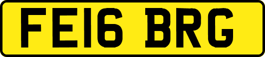 FE16BRG