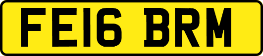 FE16BRM