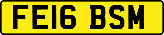 FE16BSM