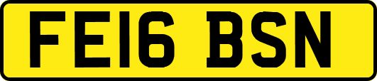 FE16BSN