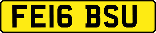 FE16BSU
