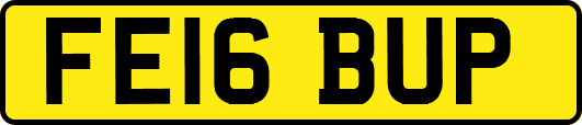 FE16BUP