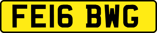 FE16BWG