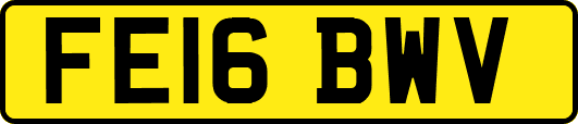 FE16BWV