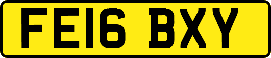 FE16BXY