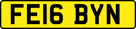 FE16BYN
