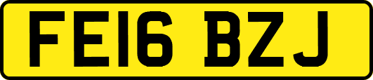 FE16BZJ
