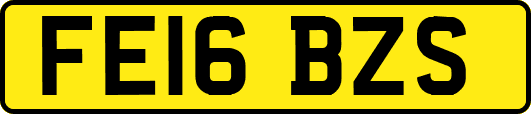 FE16BZS