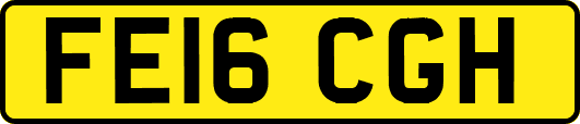 FE16CGH