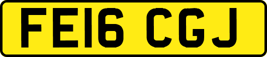 FE16CGJ