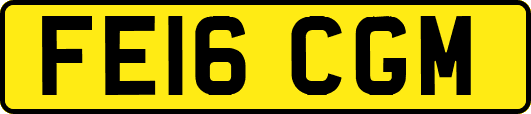 FE16CGM