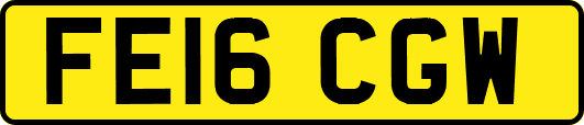 FE16CGW