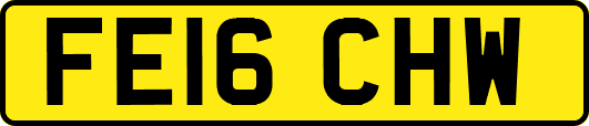 FE16CHW