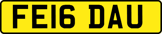 FE16DAU