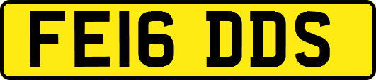 FE16DDS