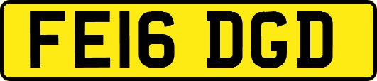 FE16DGD