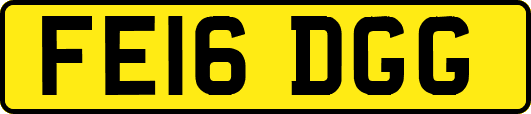 FE16DGG