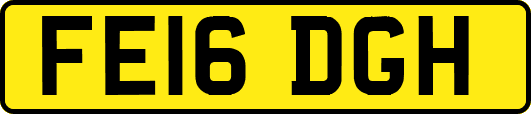FE16DGH