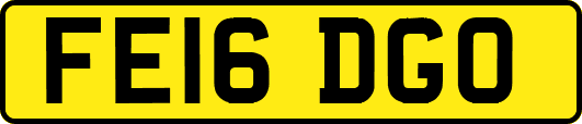 FE16DGO
